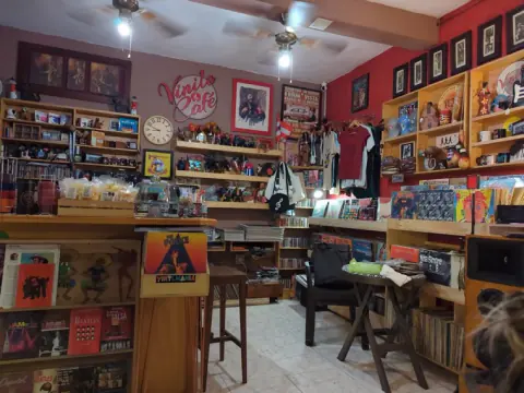 Vista amplia de la tienda con estantes de discos y mesas